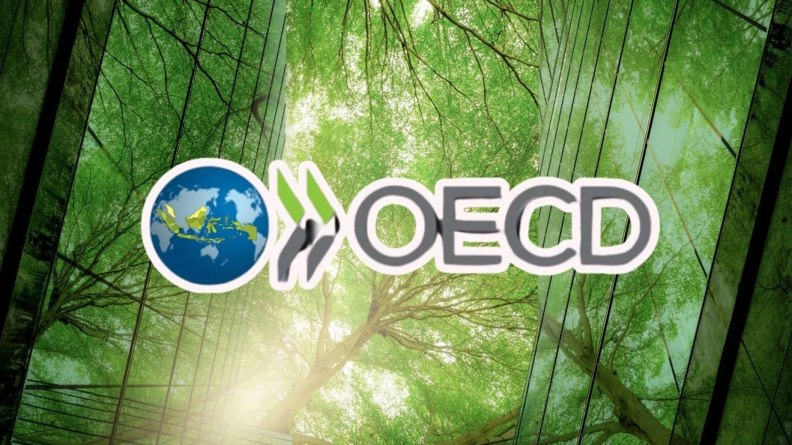 Open letter to members of the OECD Responsible Business Conduct Committee