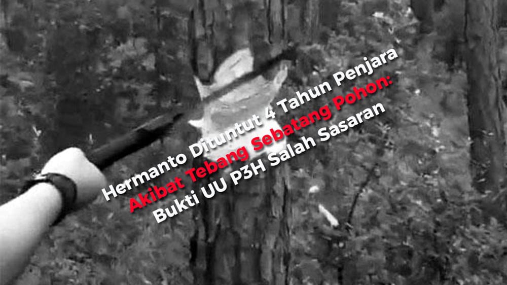 Hermanto Dituntut 4 Tahun Penjara Akibat Tebang Sebatang Pohon: Bukti UU P3H Salah Sasaran