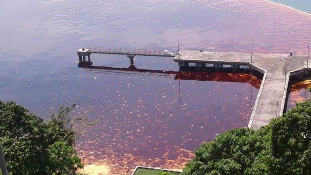 Minyak Kelapa Sawit Tumpah, PT Wira Inno Mas Harus Bertanggungjawab Melakukan Pemulihan