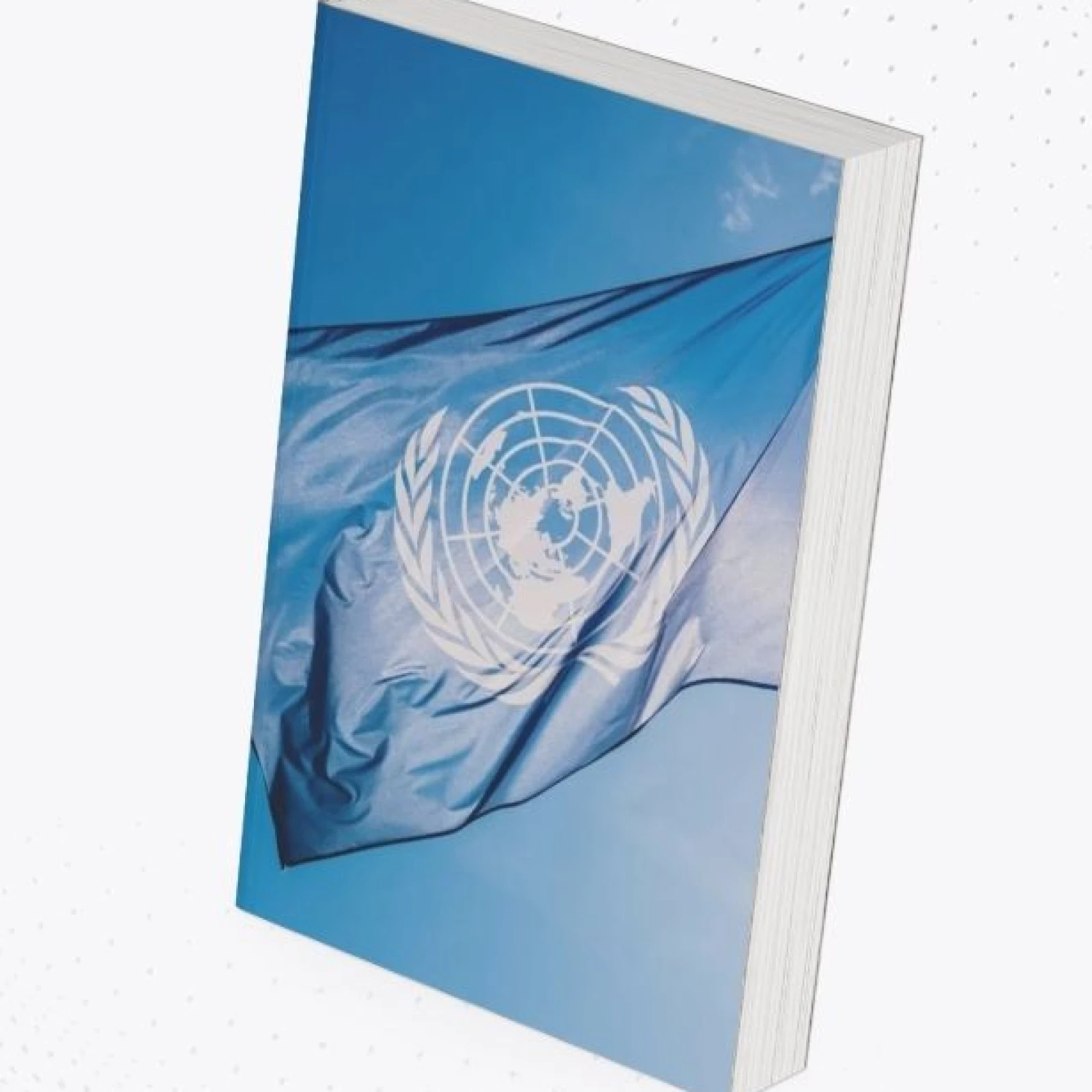 Submitted two report to the UN Office of High Commissioner of Human Rights (OHCHR), in response to its call for inputs on "protecting human rights defenders in the digital age,"