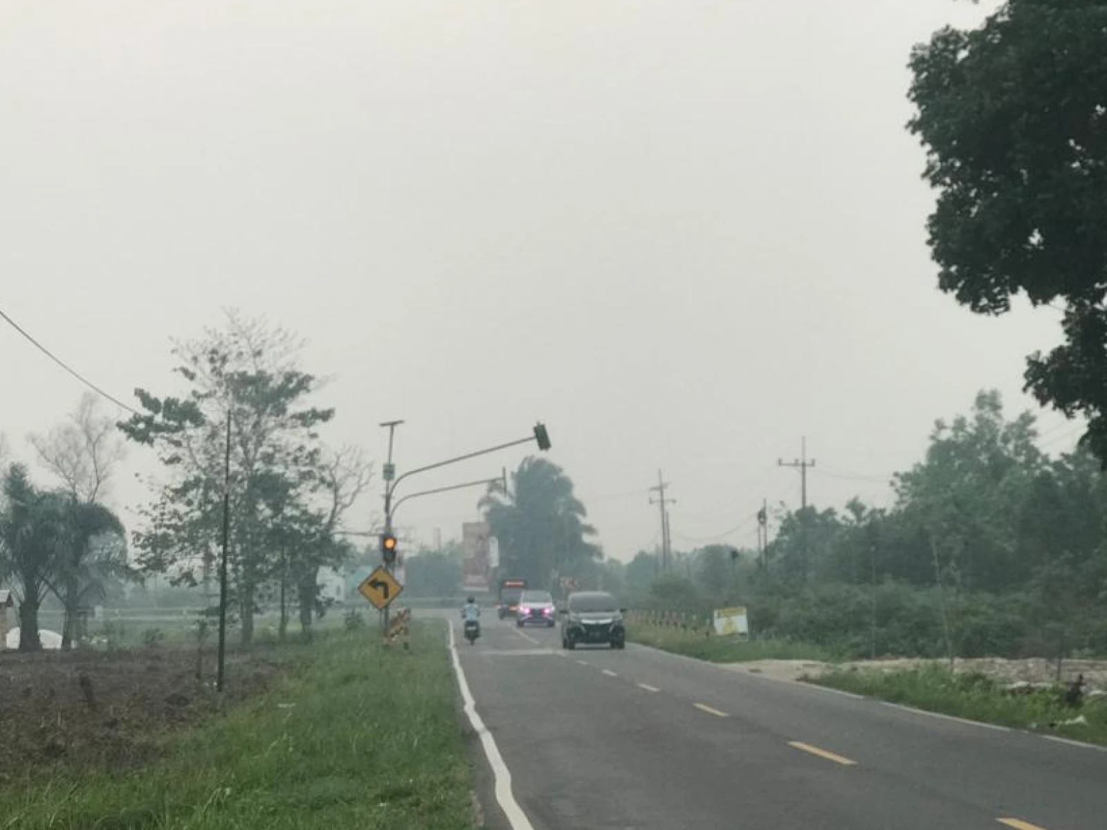 Tuntut Tanggung Jawab atas Pelanggaran HAM Akibat Karhutla