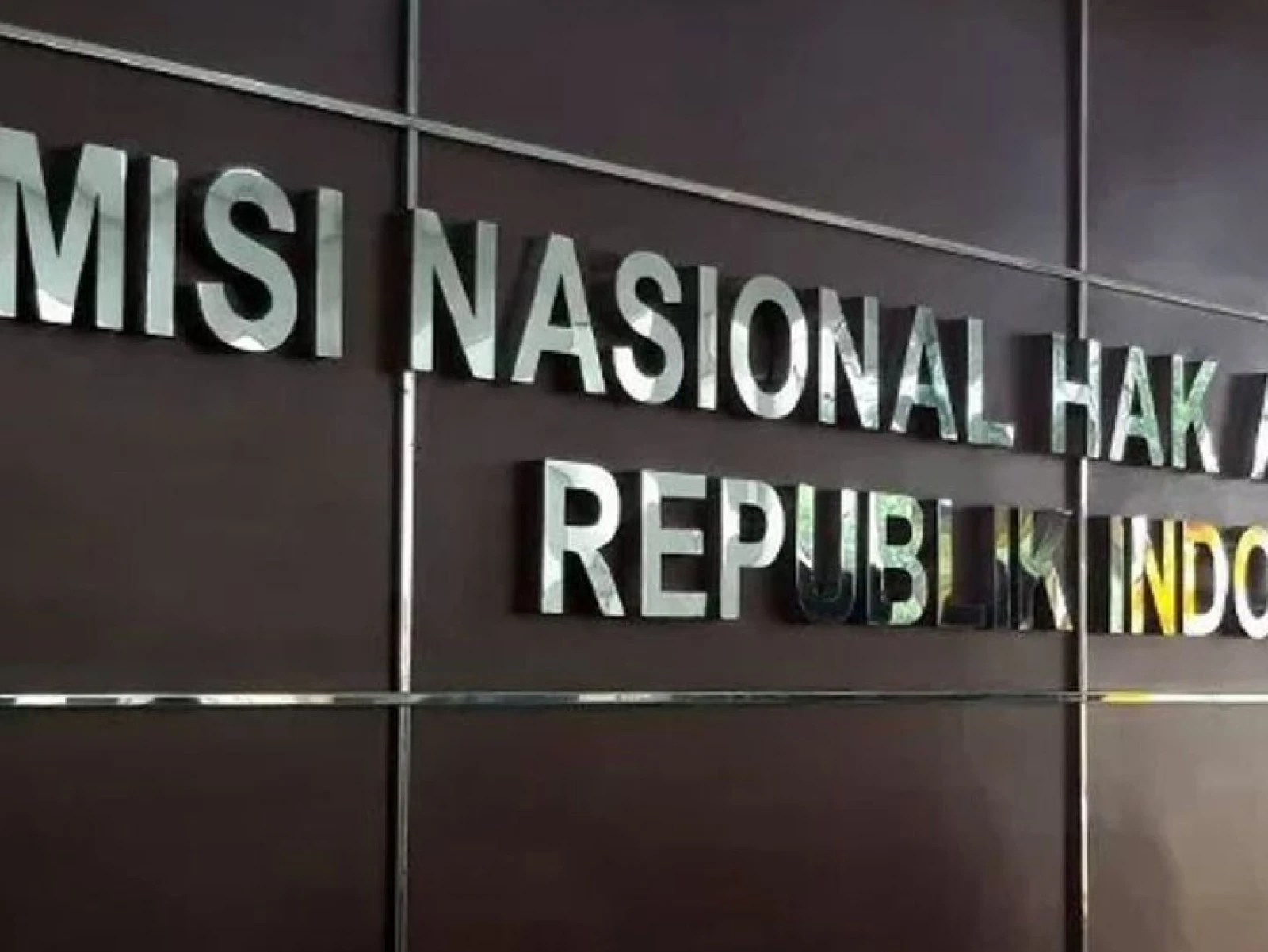 Kajian Atas Implementasi Peraturan Komnas HAM Untuk Perlindungan Pembela Hak Asasi Manusia