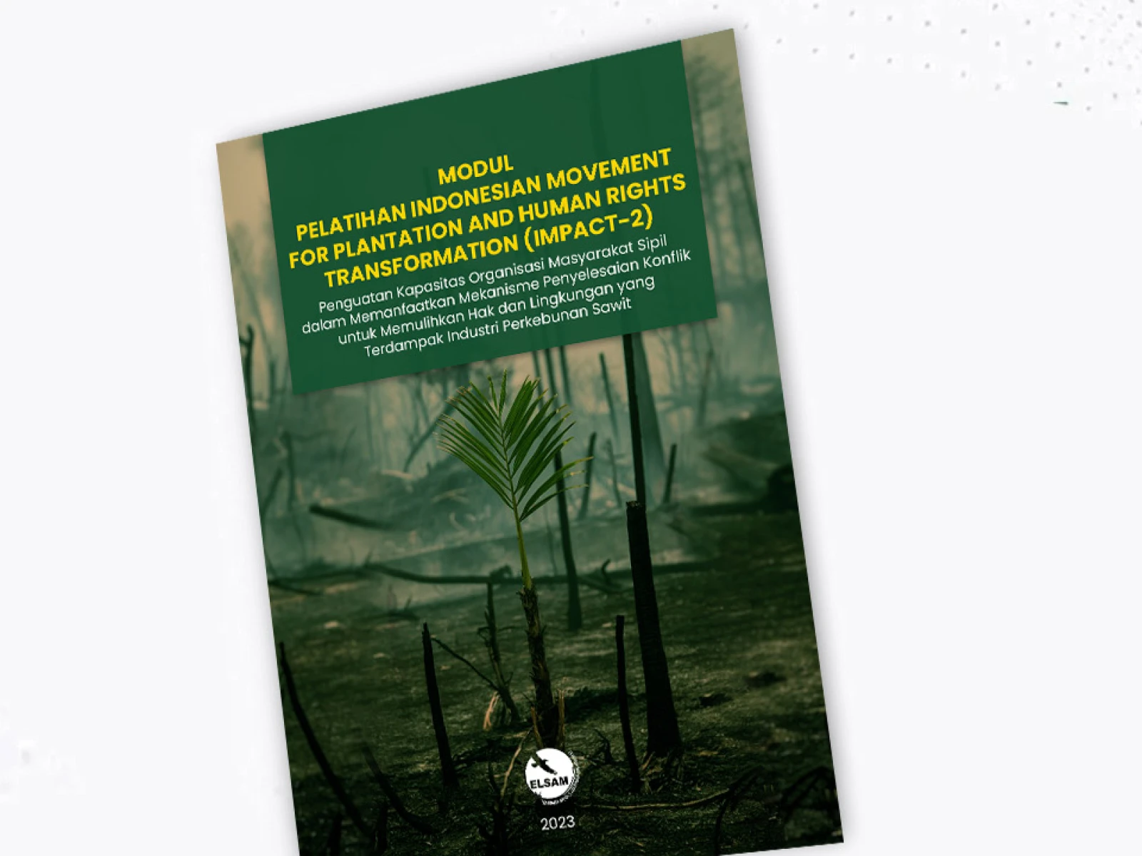 Modul Pelatihan Indonesian Movement for Plantation and Human Rights Transformation (IMPACT-2)