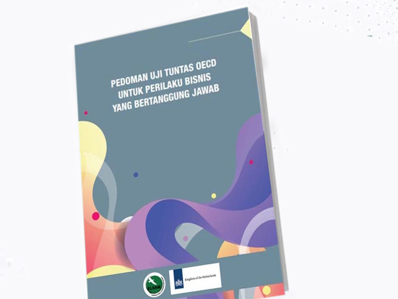 Pedoman Uji Tuntas OECD untuk Perilaku Bisnis yang Bertanggung Jawab