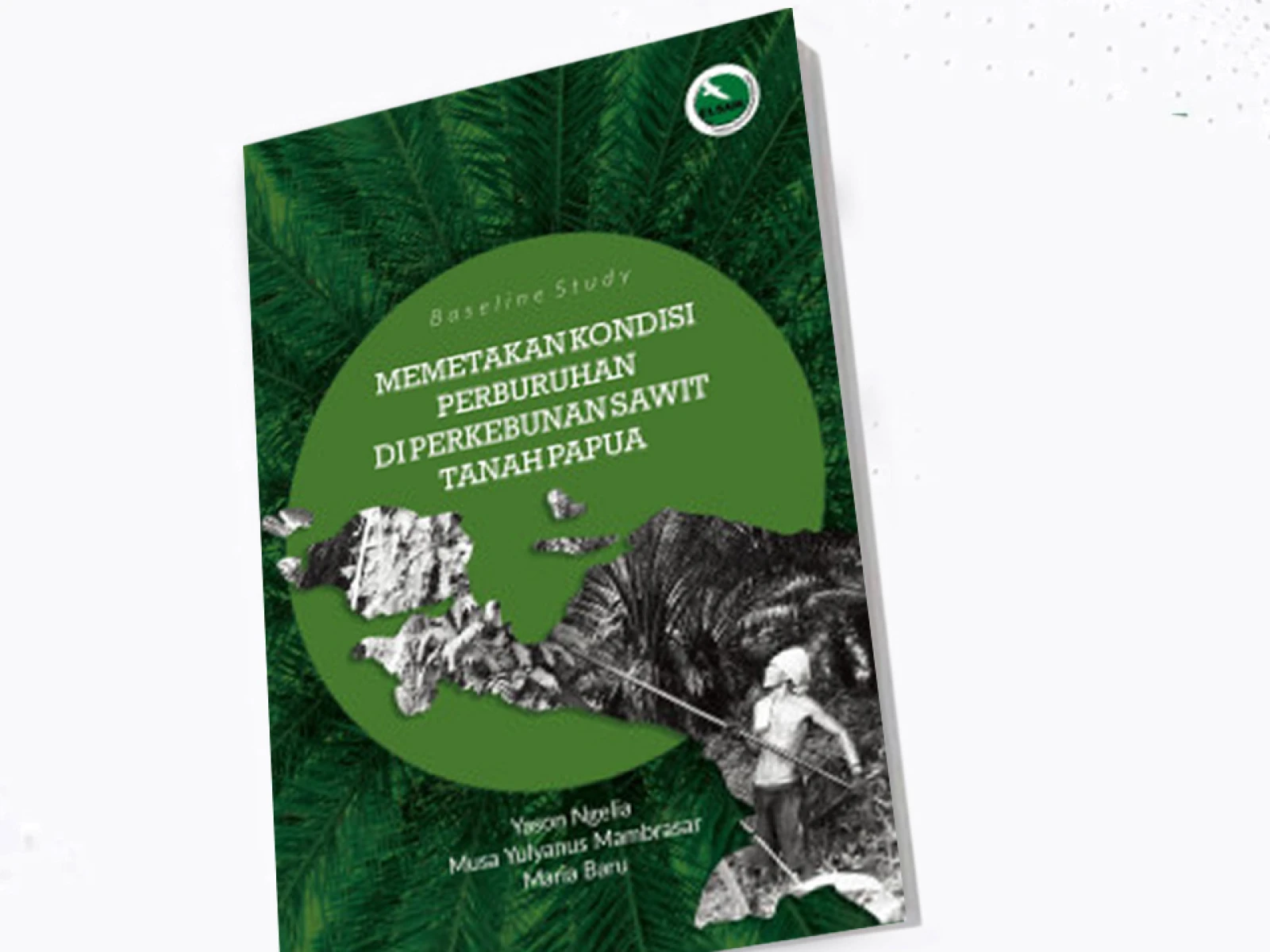 Baseline Study: Memetakan Kondisi Perburuhan di Perkebunan Sawit Tanah Papua