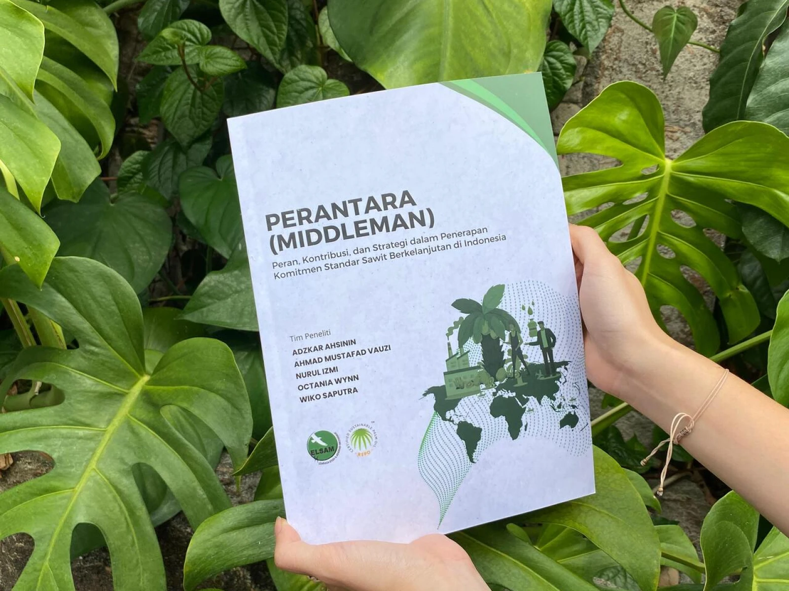 Perantara dalam Rantai Pasok Sawit: Antara Keuntungan Ekonomi dan Tanggung Jawab HAM