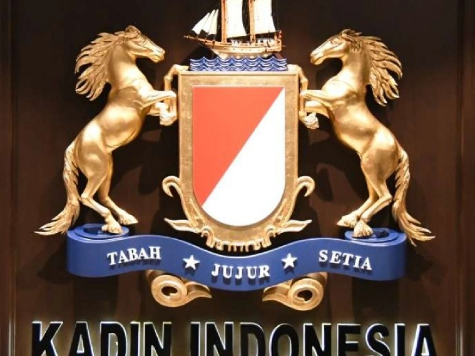 Berkelanjutan dengan Menghormati HAM