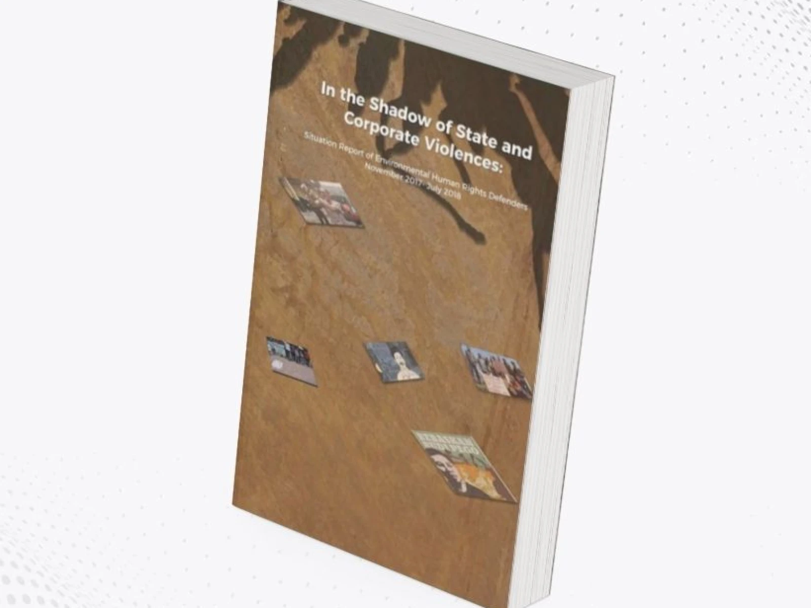 In the Shadow of State and Corporate Violences: Situation Report of Environmental Human Rights Defenders November 2017- July 2018