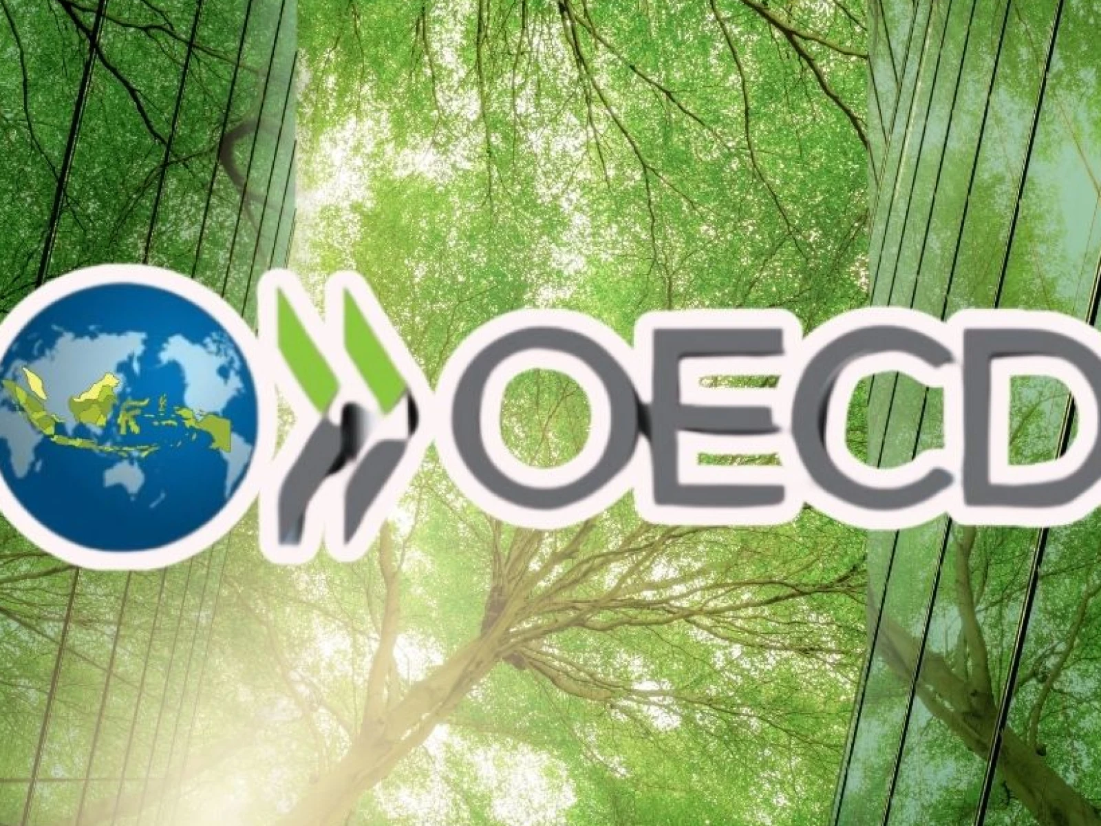 Open letter to members of the OECD Responsible Business Conduct Committee