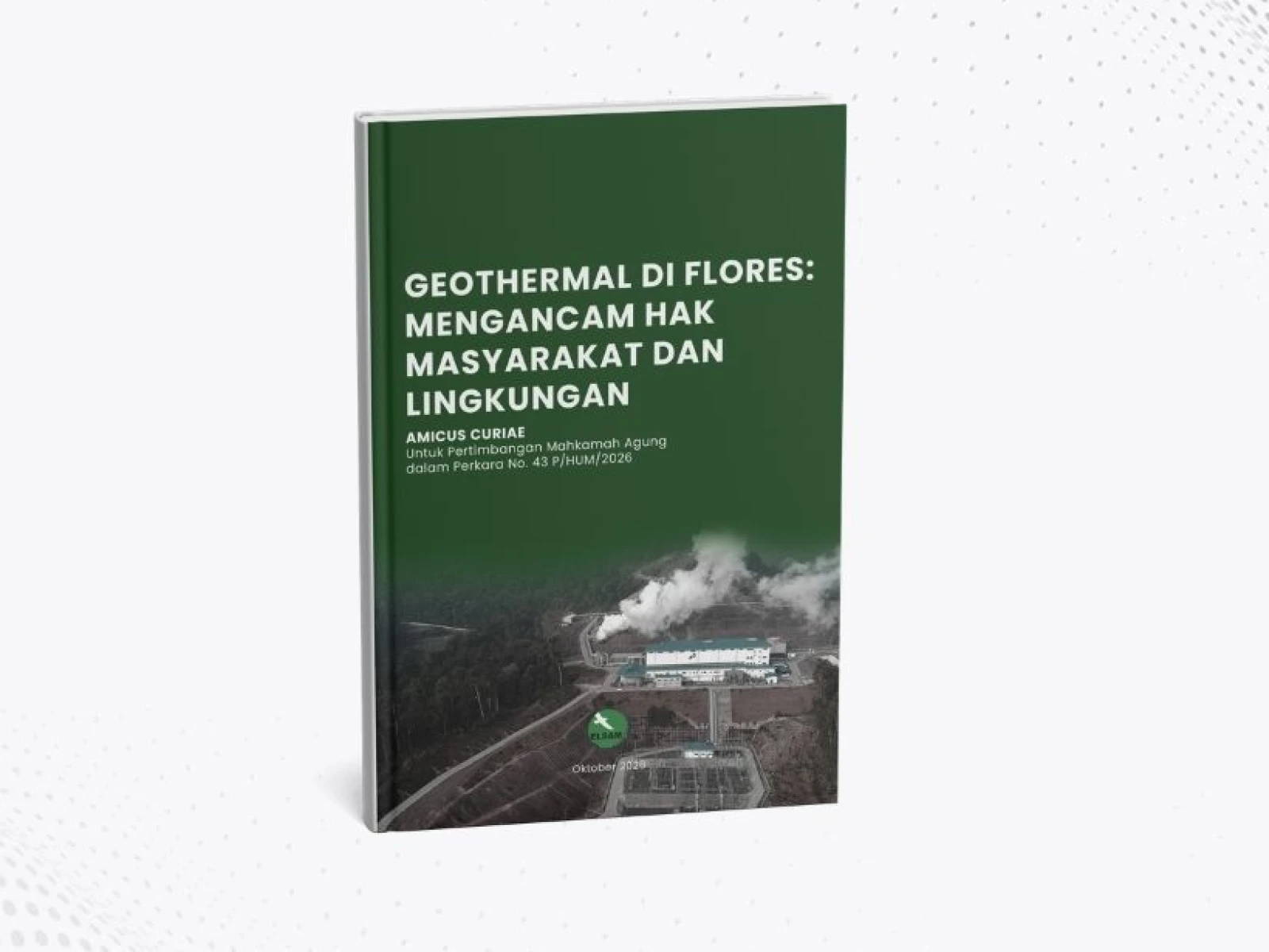 Geothermal di Flores: Mengancam Hak Masyarakat dan Lingkungan