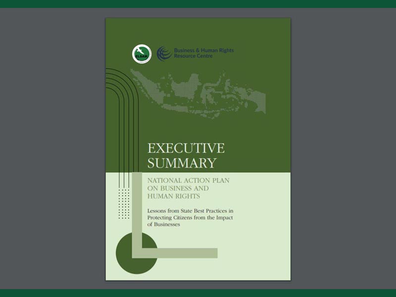 Executive Summary National Action Plan Business and Human Rights