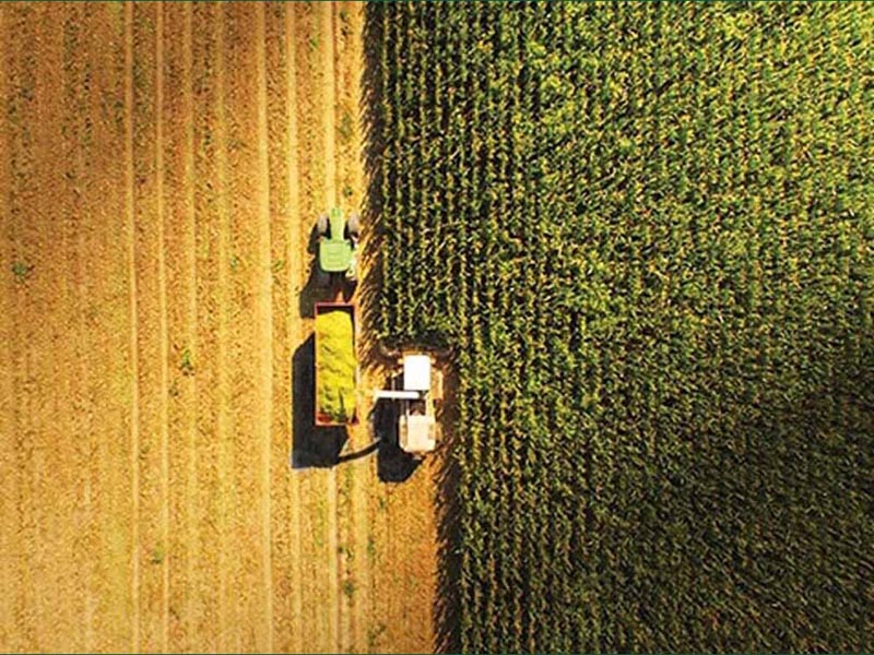 Hentikan Proyek Cetak Sawah / Food Estate di Lahan Gambut Di Kalimantan Tengah,Jangan Menciptakan Malapetaka Baru ‼